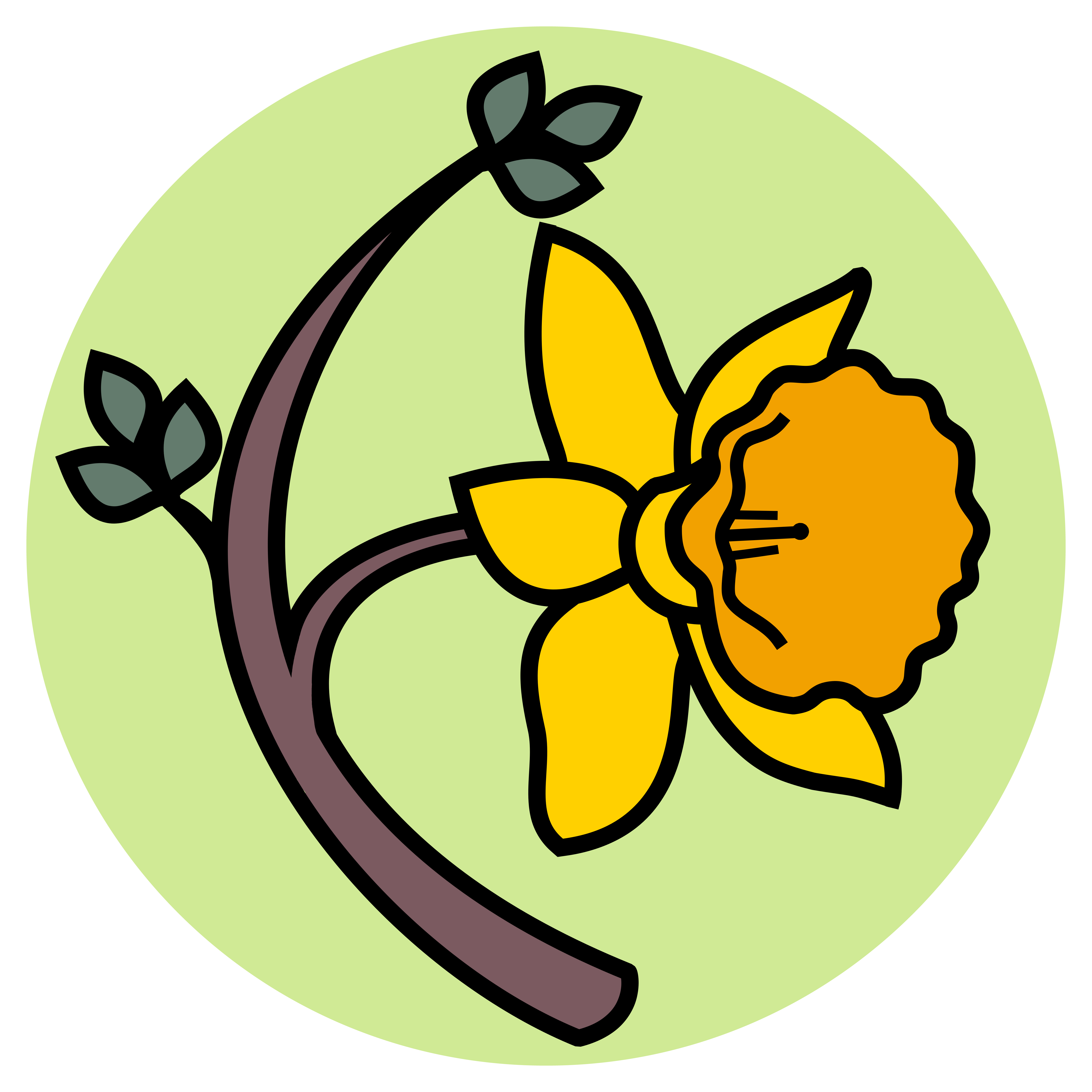 A vertical, curved tree branch with two tufts of leaves and a branch extending to the right with a daffodil flower growing from it also facing toward the right. Pale green background.